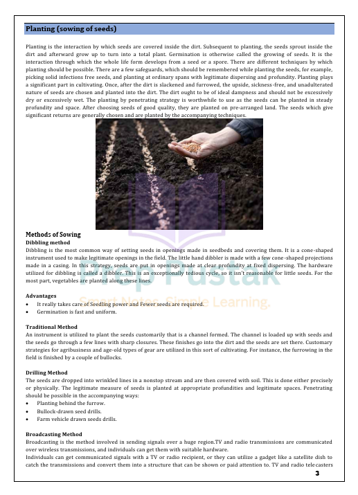 Science - Class 8 CBSE