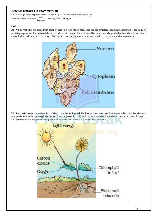 Science - Class 7 CBSE